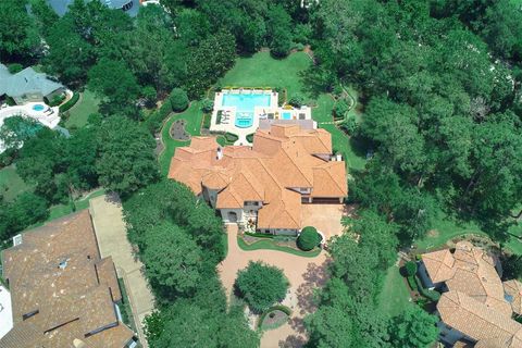 2 Cluny Court The Woodlands TX 77382