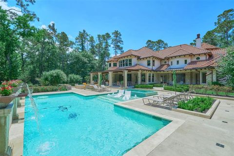 2 Cluny Court The Woodlands TX 77382