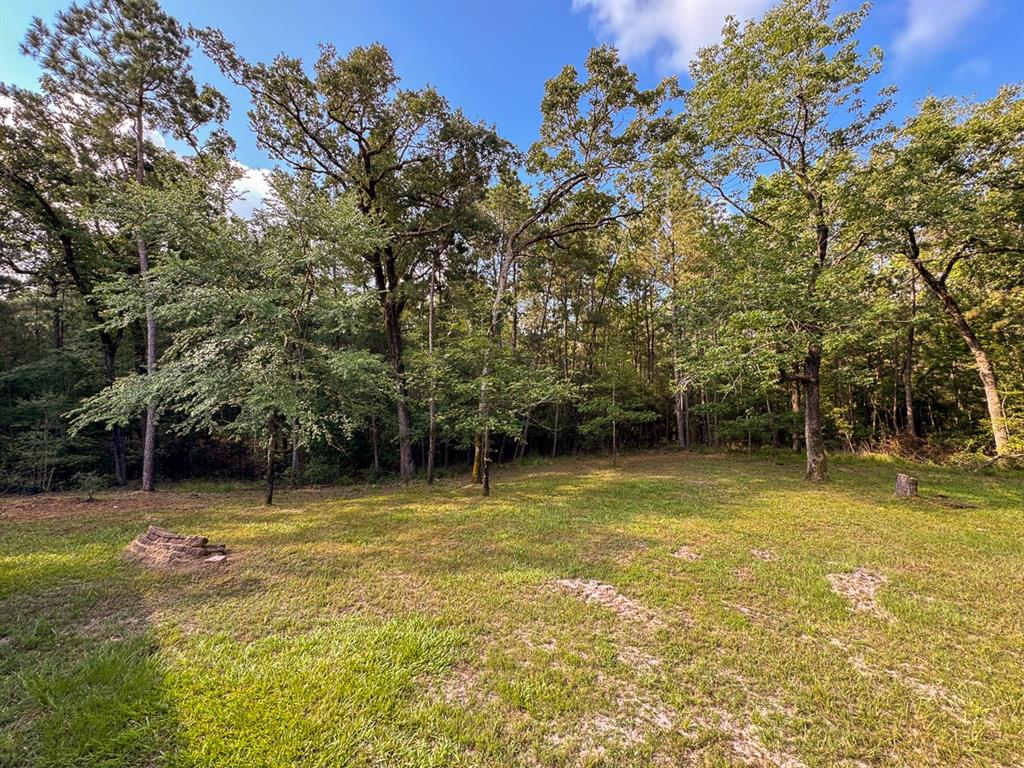 65 Fm 3454, Huntsville, Texas image 27