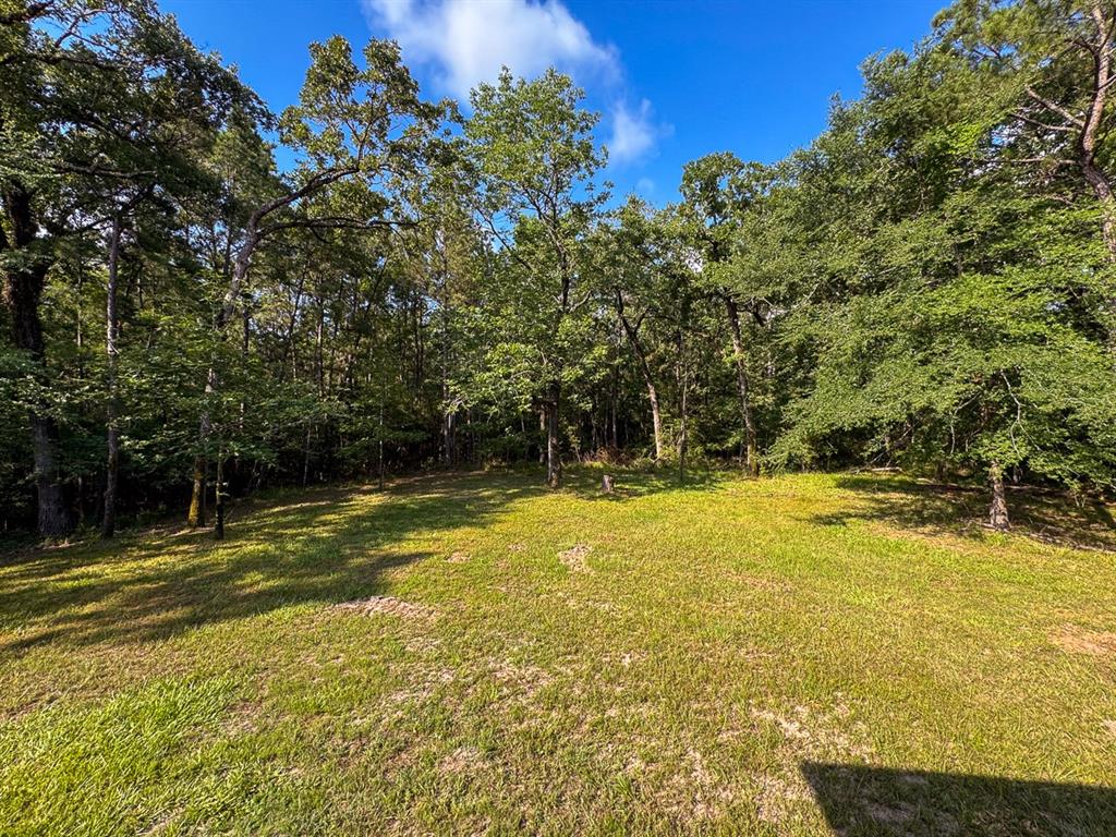 65 Fm 3454, Huntsville, Texas image 26