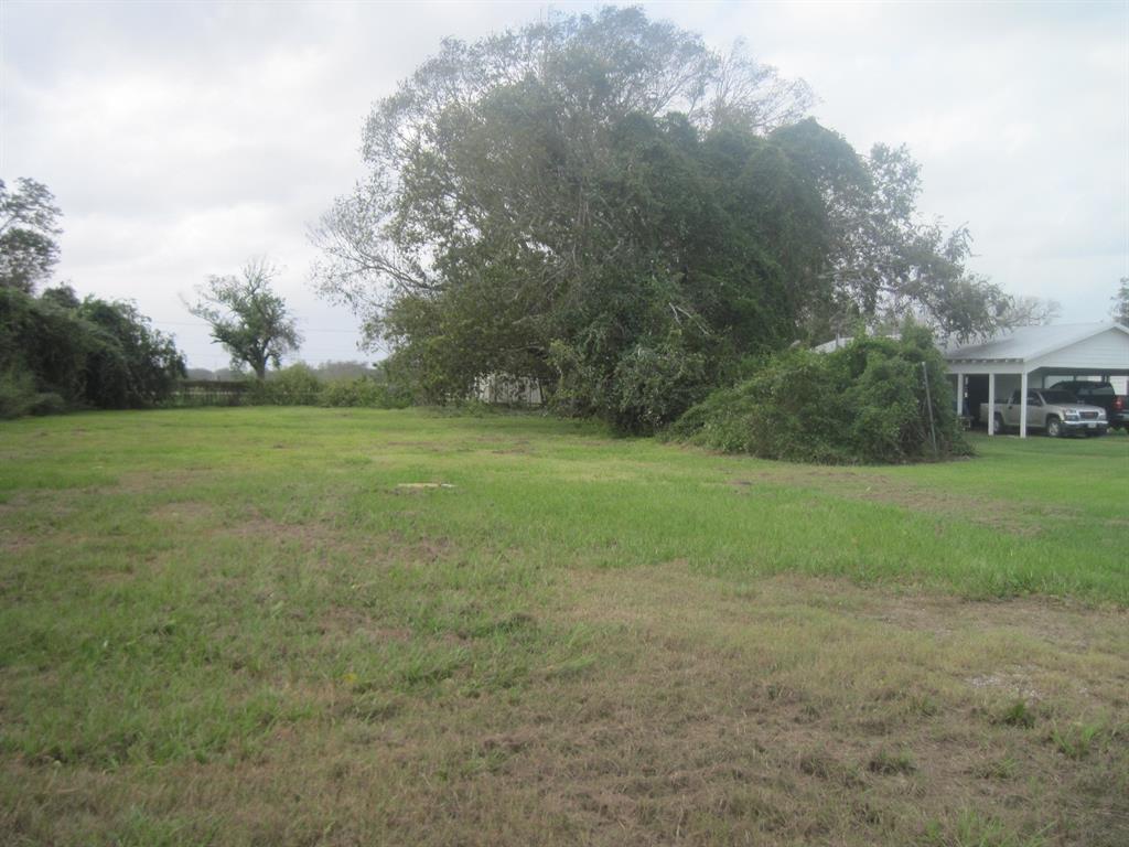 Highway 36, Brazoria, Texas image 2