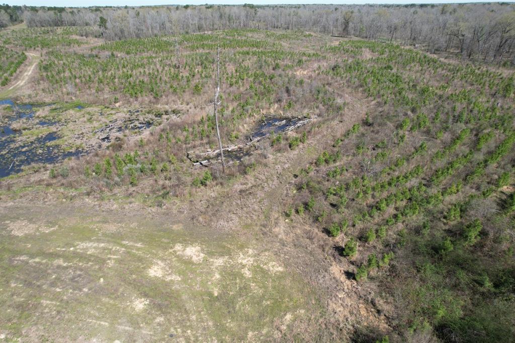 TBD Billy Ray Rd, Marshall, Texas image 9