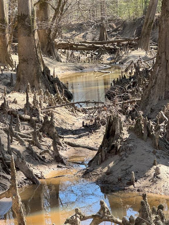 TBD Billy Ray Rd, Marshall, Texas image 32