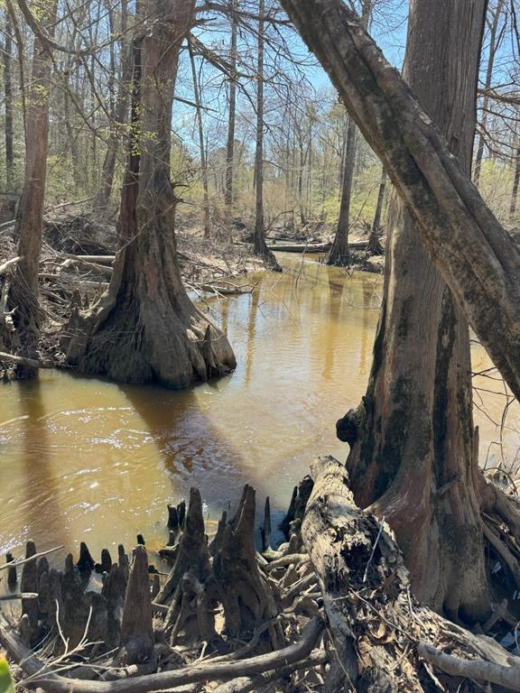 TBD Billy Ray Rd, Marshall, Texas image 28
