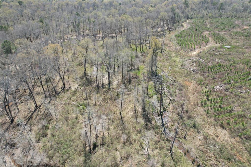 TBD Billy Ray Rd, Marshall, Texas image 21