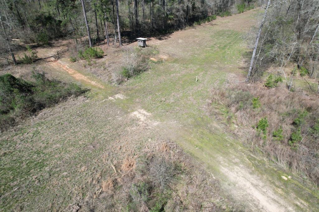 TBD Billy Ray Rd, Marshall, Texas image 17