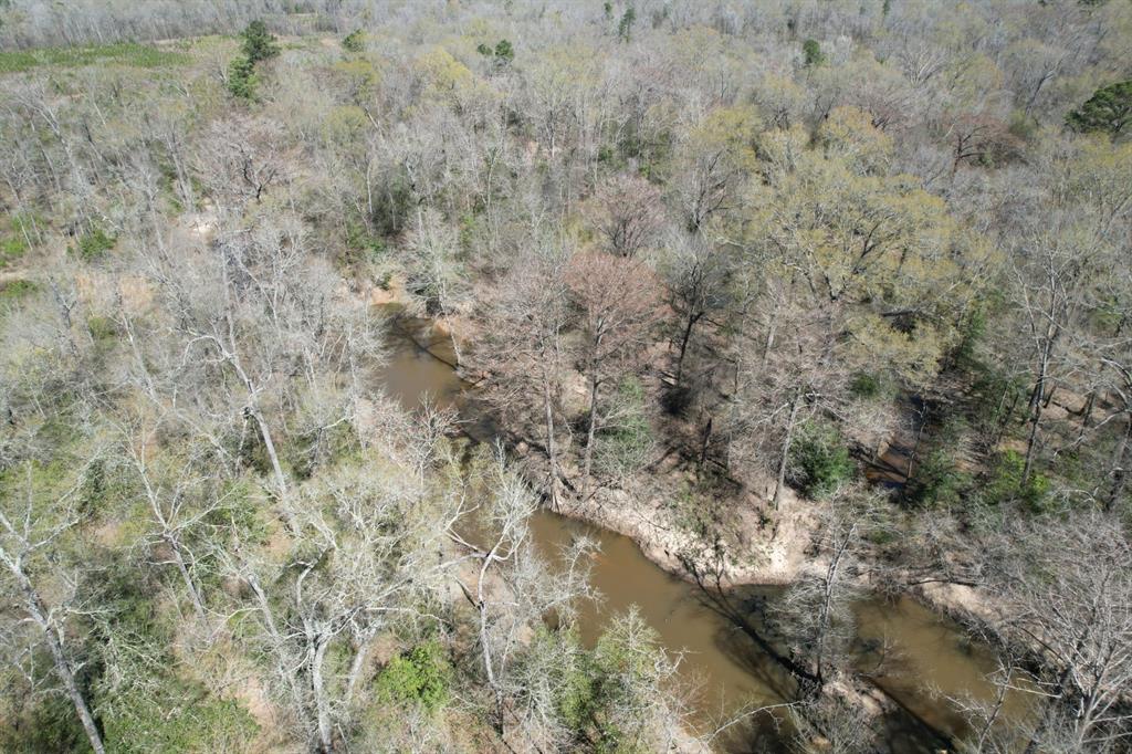TBD Billy Ray Rd, Marshall, Texas image 13