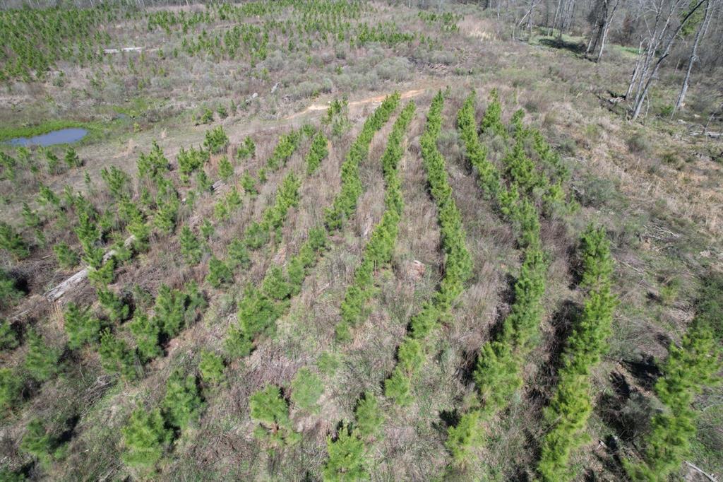 TBD Billy Ray Rd, Marshall, Texas image 14