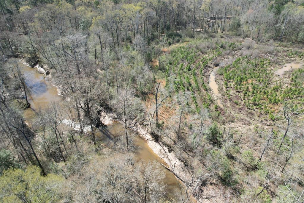 TBD Billy Ray Rd, Marshall, Texas image 22