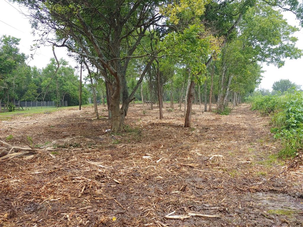 3720B County Road 144, Alvin, Texas image 18