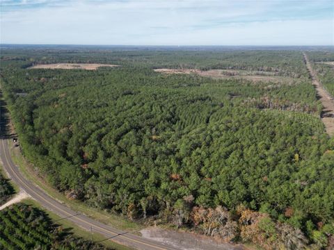 Photo of 1432 Fm 1745 S, Chester, TX 75936 (MLS # 48193693)