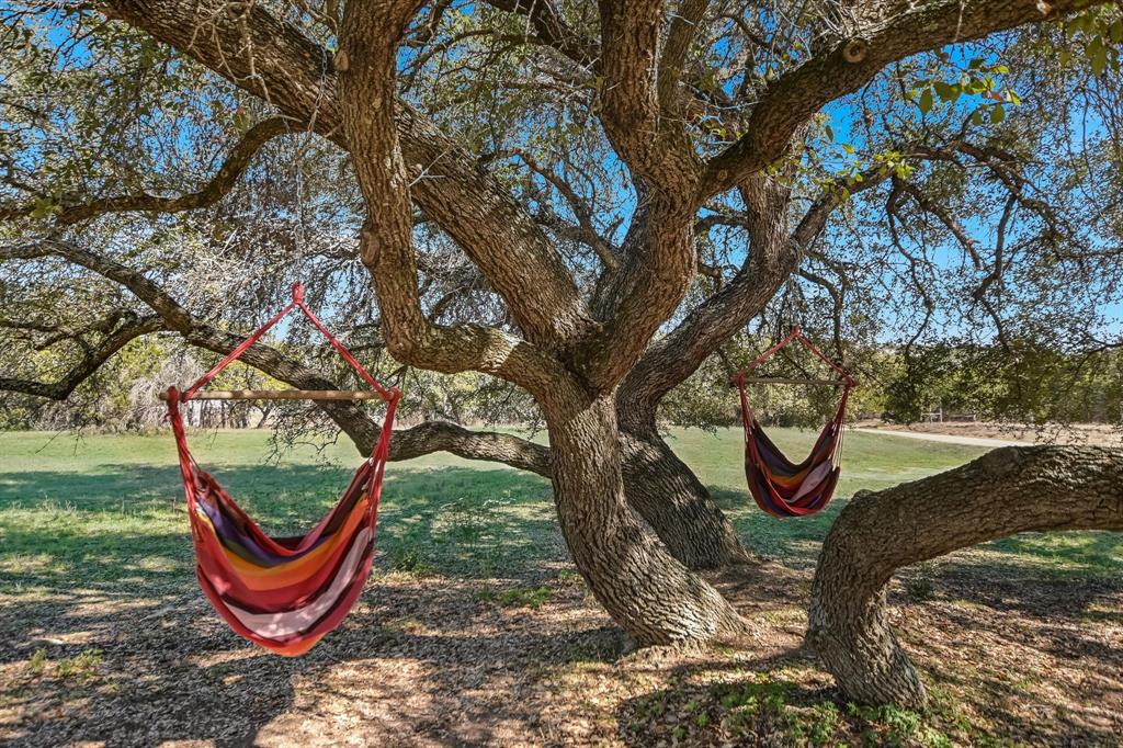 7000 Mcgregor Lane, Dripping Springs, Texas image 19