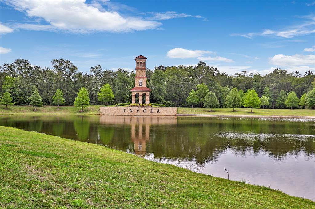 23335 Robinson Pond Drive, New Caney, Texas image 46