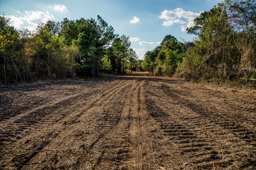 4769 Track Road, New Ulm, Texas image 3