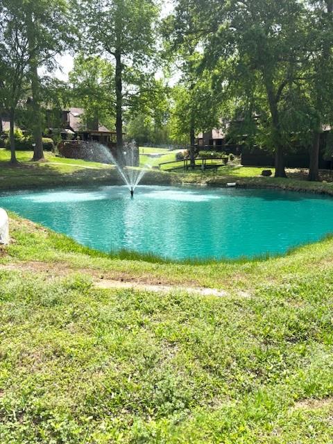 200 Fountain Lake Unit 125 Lk, Livingston, Texas image 30