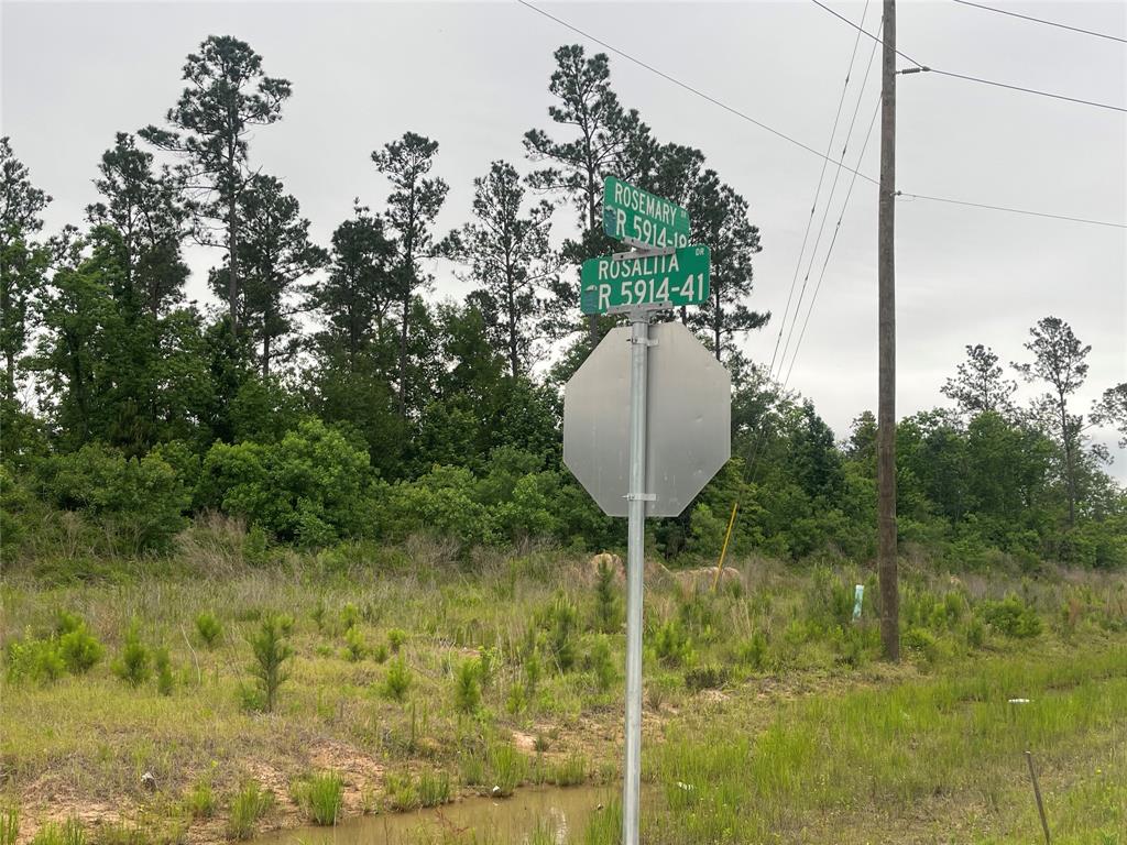 9217 County Rd 591418, Cleveland, Texas image 11