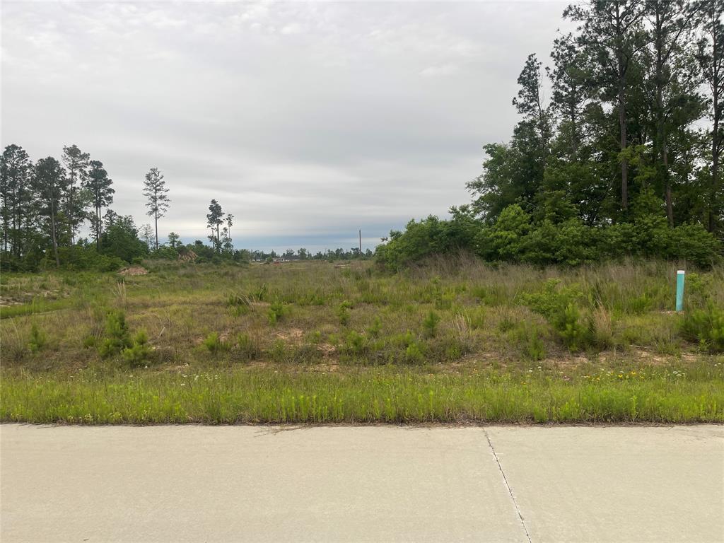 9217 County Rd 591418, Cleveland, Texas image 12