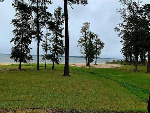 Photo of 251 County Road 469, Broaddus, TX 75929 (MLS # 7608536)