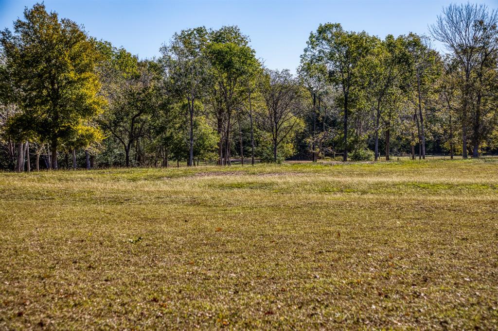 1598 Tiemann Road, New Ulm, Texas image 31