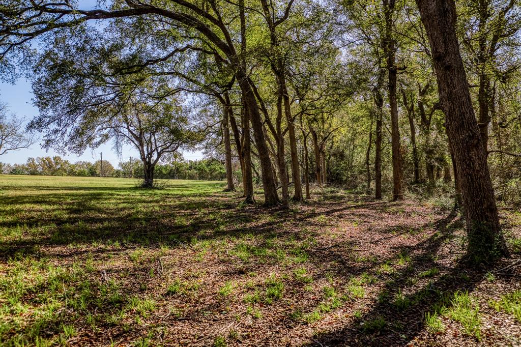 1598 Tiemann Road, New Ulm, Texas image 41