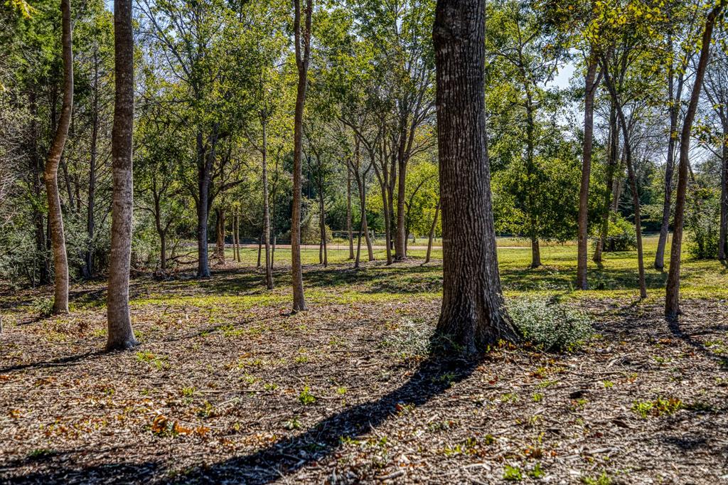 1598 Tiemann Road, New Ulm, Texas image 44