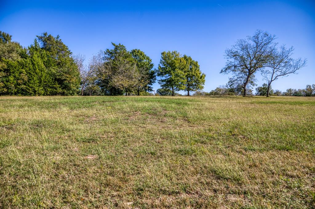 1598 Tiemann Road, New Ulm, Texas image 42