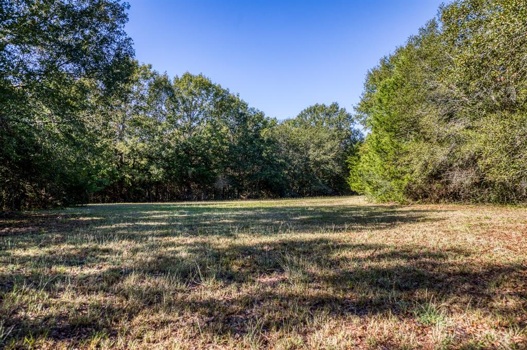 1598 Tiemann Road, New Ulm, Texas image 37