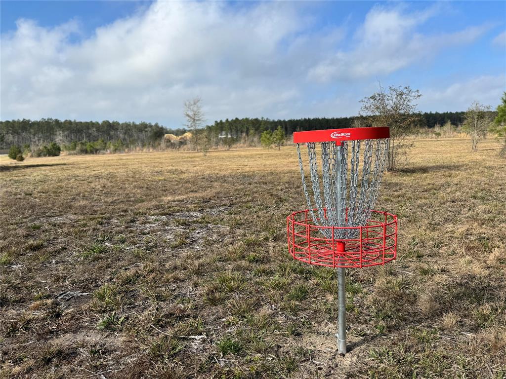 15357 Forest Grove Drive, Willis, Texas image 12
