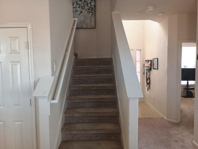 6530 Bella Noche Drive, Spring, Texas image 11