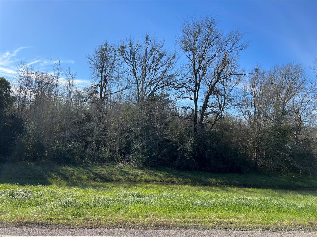 Sunny Side Road, Hempstead, Texas image 2