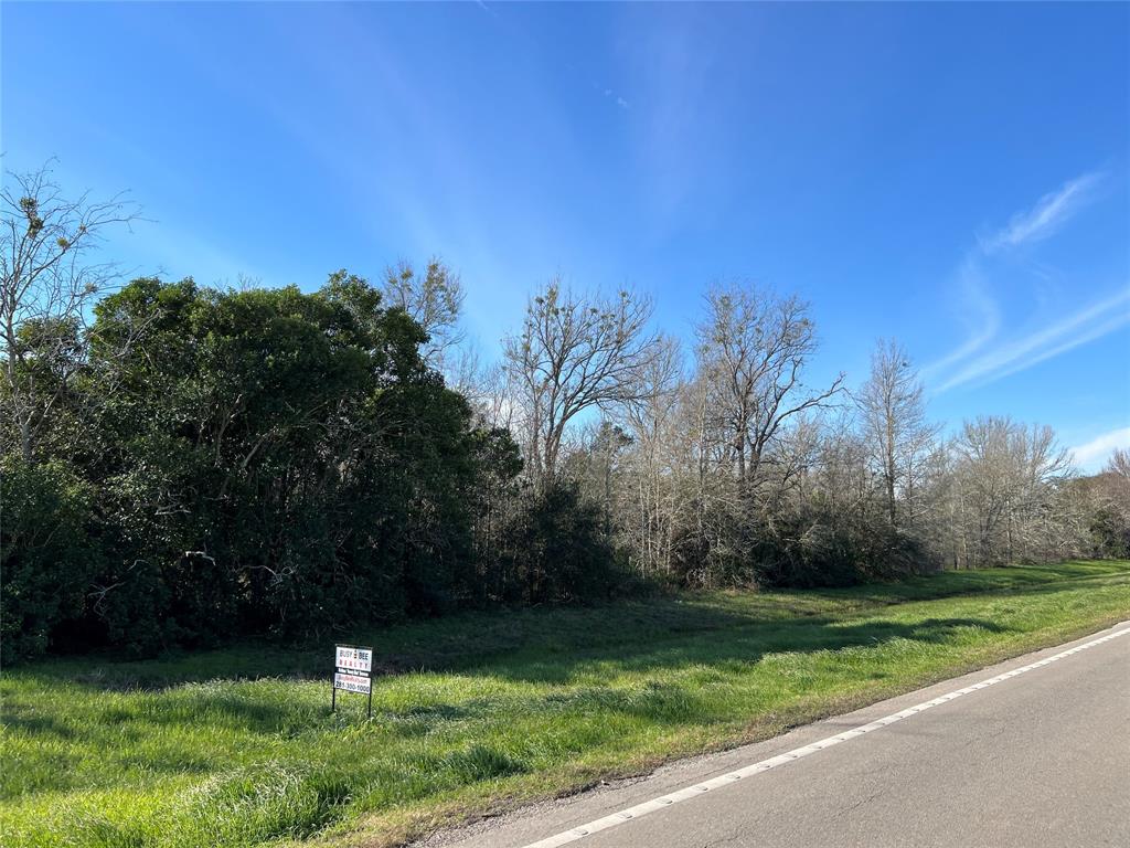 Sunny Side Road, Hempstead, Texas image 3