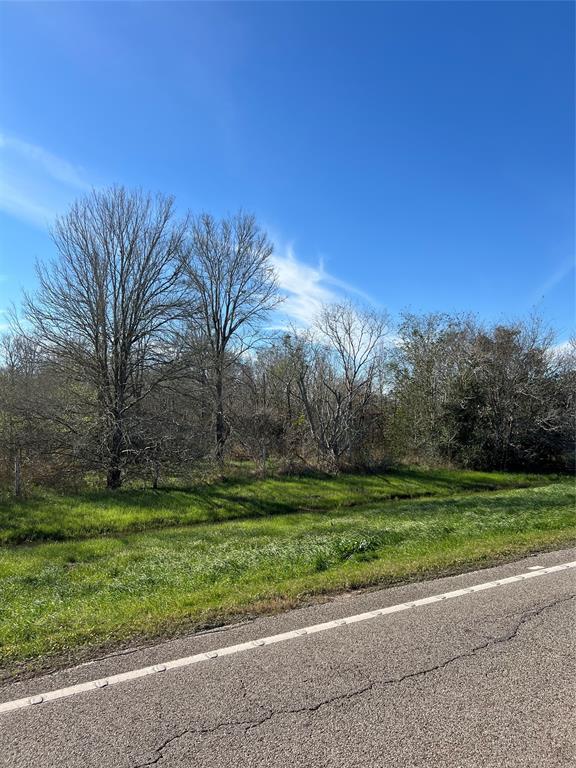 Sunny Side Road, Hempstead, Texas image 5