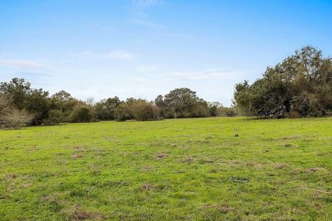 Photo of 3 Tbd Kleihege Road, New Ulm, TX 78950 (MLS # 2185141) Photo of 3 Tbd Kleihege Road, New Ulm, TX 78950 (MLS # 2185141)
