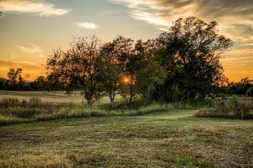3004 Tbd Road, Navasota, Texas image 46