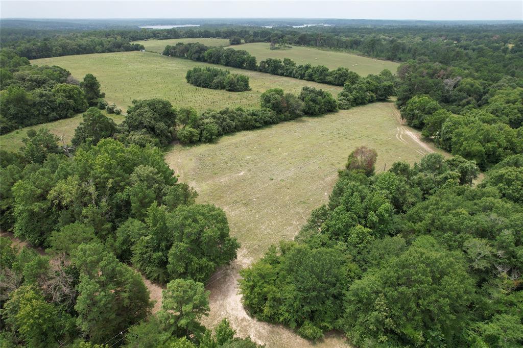 TBD Cr 2170, Grapeland, Texas image 9