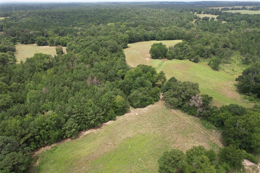 TBD Cr 2170, Grapeland, Texas image 2