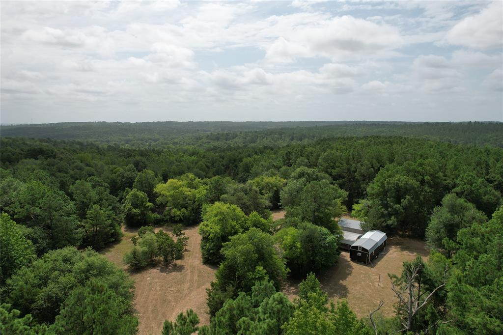 TBD Cr 2170, Grapeland, Texas image 17