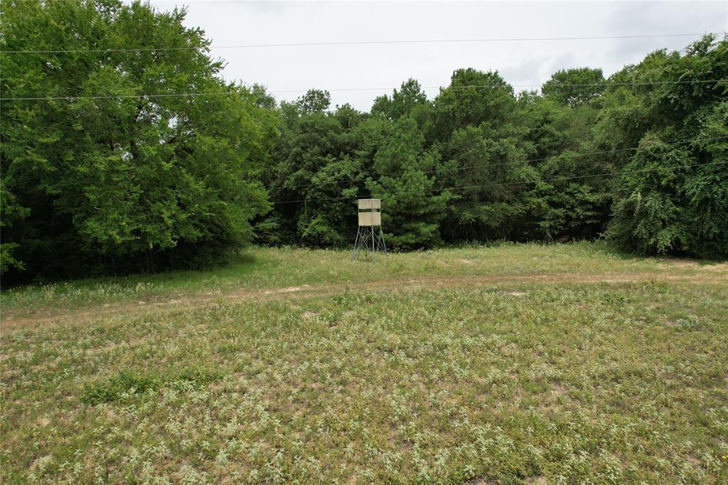 TBD Cr 2170, Grapeland, Texas image 5