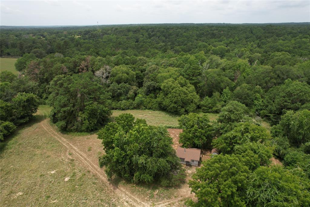 TBD Cr 2170, Grapeland, Texas image 15