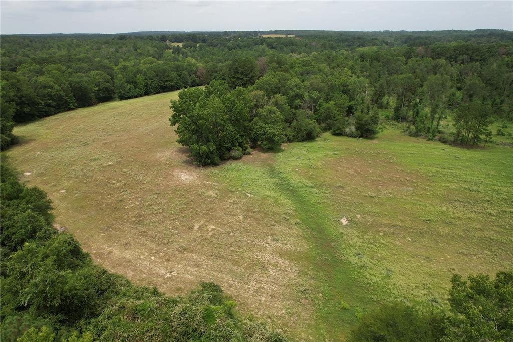 TBD Cr 2170, Grapeland, Texas image 4