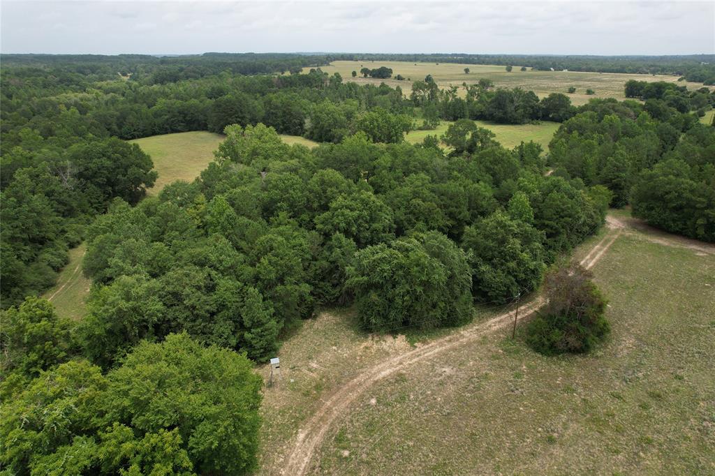 TBD Cr 2170, Grapeland, Texas image 1