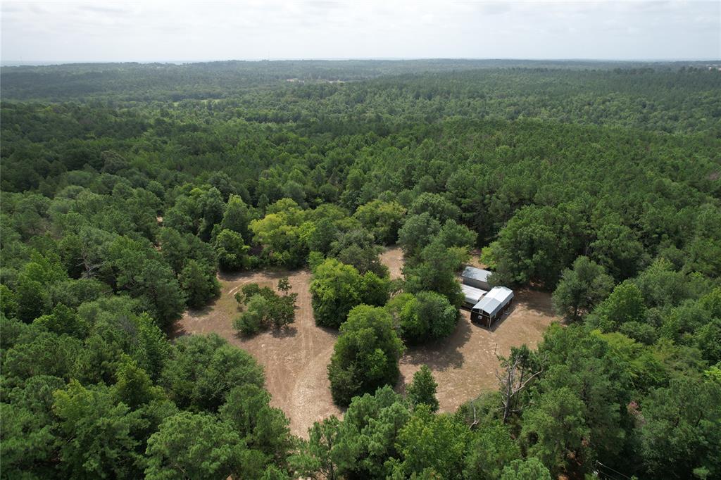 TBD Cr 2170, Grapeland, Texas image 18