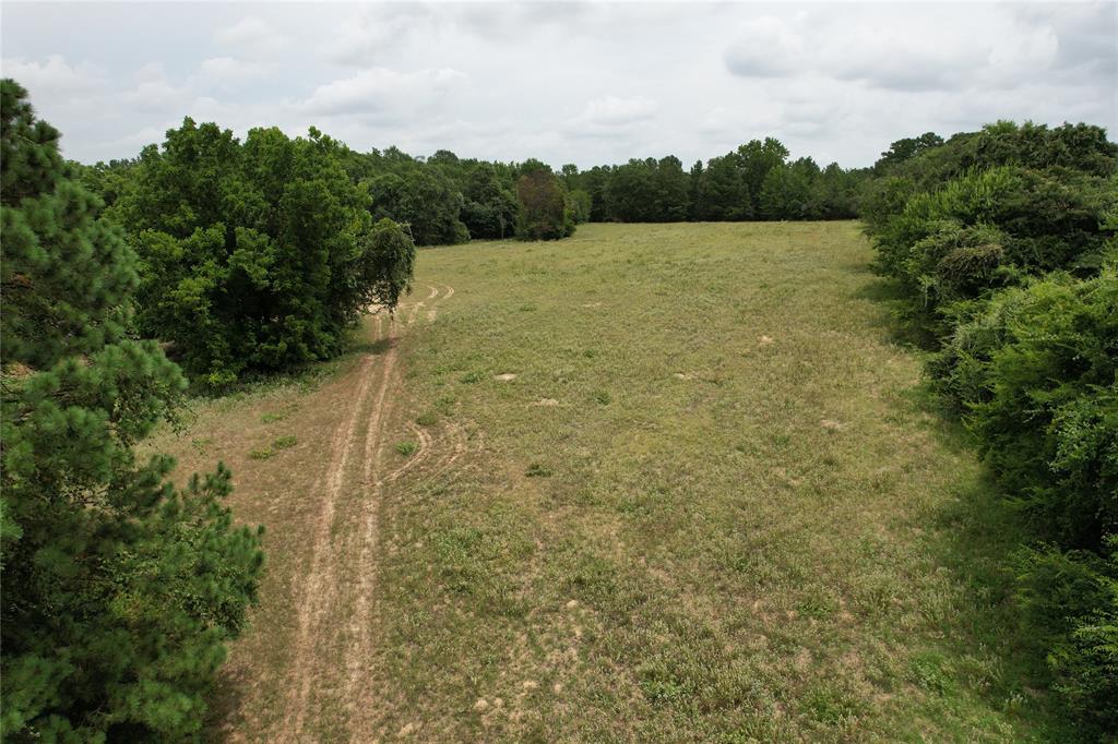 TBD Cr 2170, Grapeland, Texas image 6