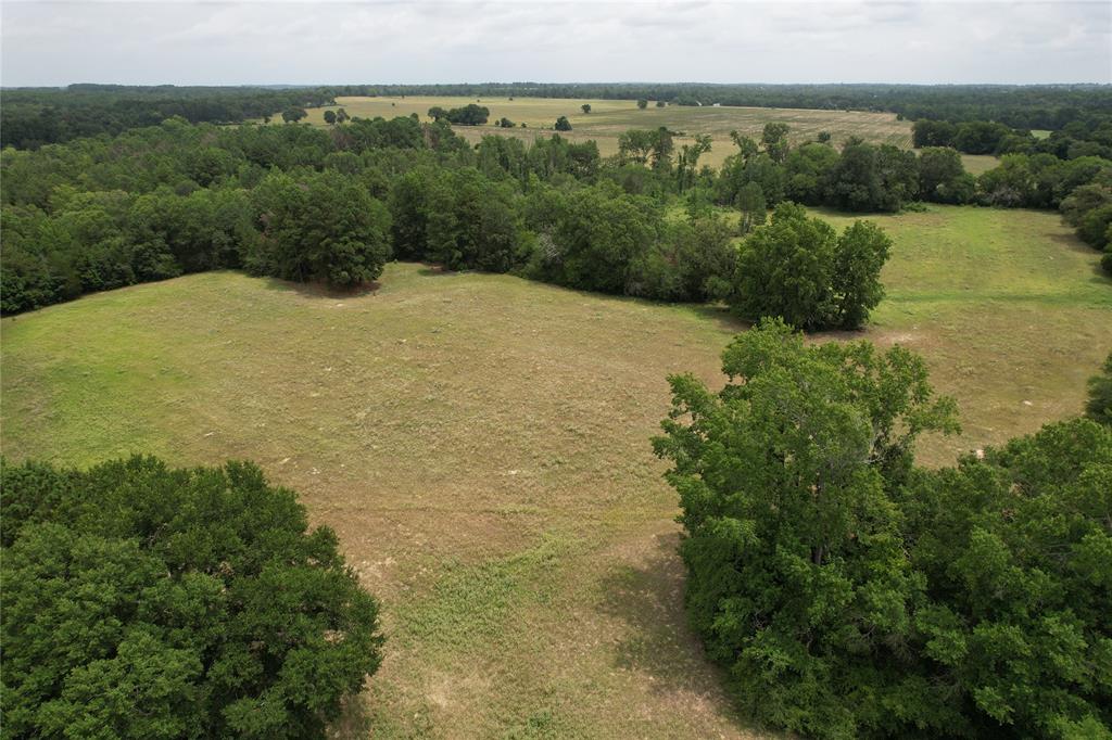 TBD Cr 2170, Grapeland, Texas image 11