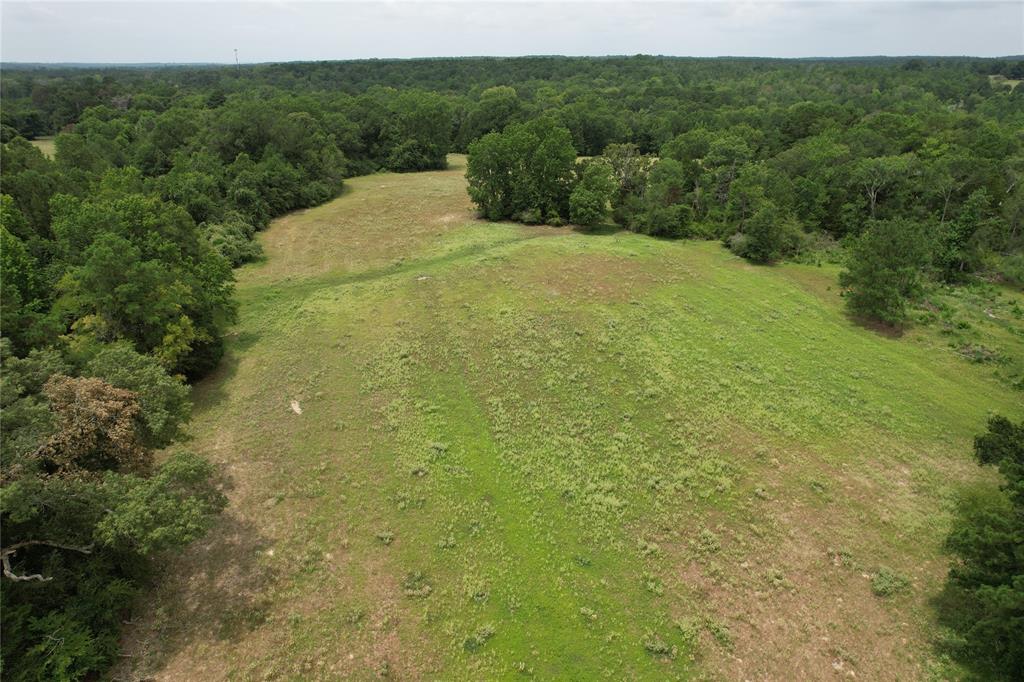 TBD Cr 2170, Grapeland, Texas image 3