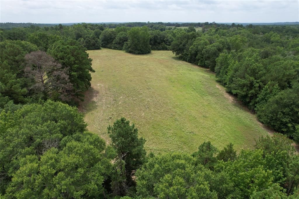 TBD Cr 2170, Grapeland, Texas image 10