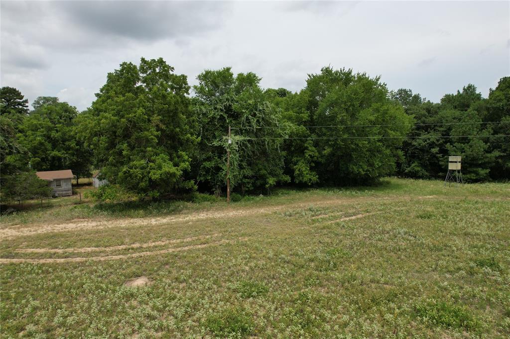 TBD Cr 2170, Grapeland, Texas image 16