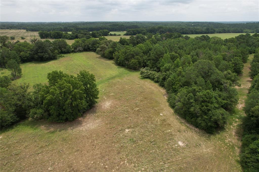 TBD Cr 2170, Grapeland, Texas image 13