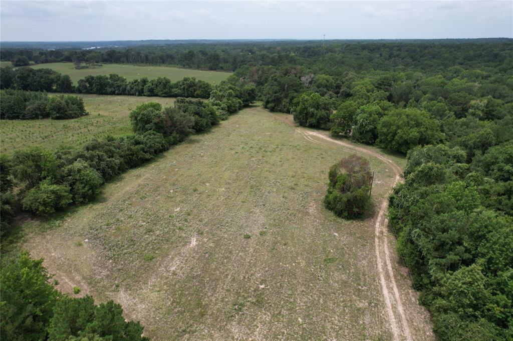 TBD Cr 2170, Grapeland, Texas image 14