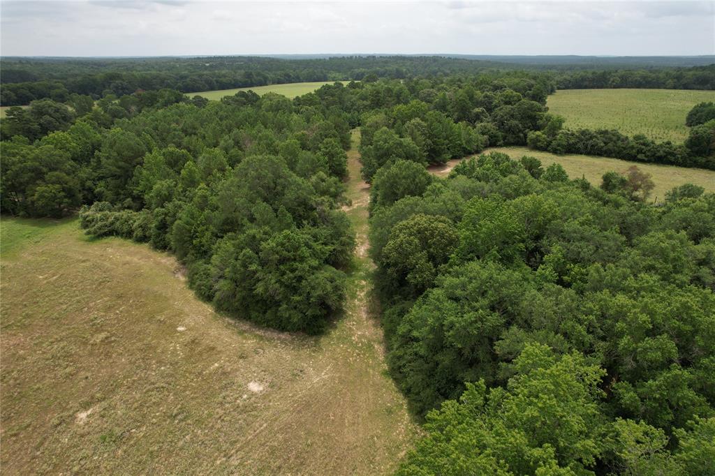 TBD Cr 2170, Grapeland, Texas image 12